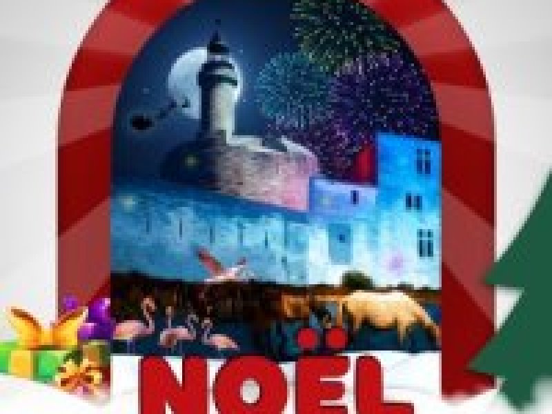 hotel noel en camargue