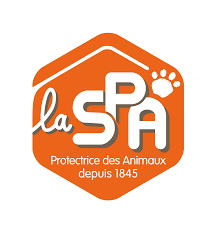 S.P.A LOGO