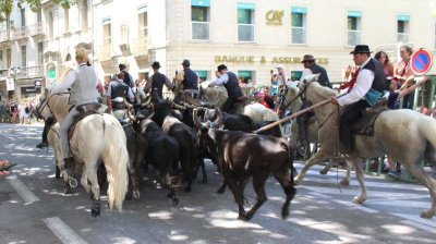 fete-votive-uzes-2025-hotel.jpg