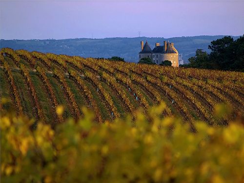 Vin et Gastronomie du Lot et Garonne