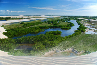 Vegetacao de Jericoacoara