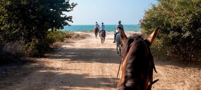 horseriding1