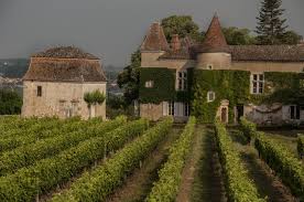 Caves & domaines de l’Albret