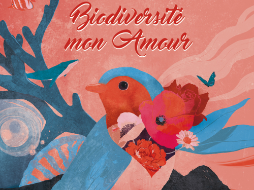 Festival FReDD 2019 de Toulouse