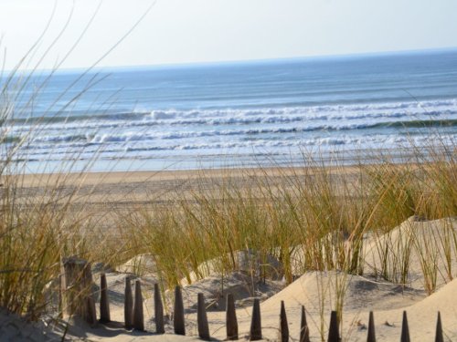 Day trip to the sandy beaches in the Médoc in Soulac
