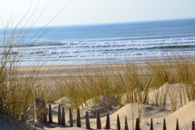 Day trip to the sandy beaches in the Médoc in Soulac