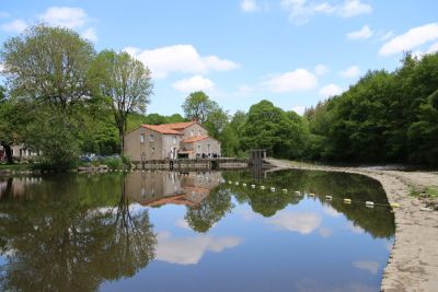 La Vallée de Poupet : Une Évasion Naturelle et Culturelle en Vendée