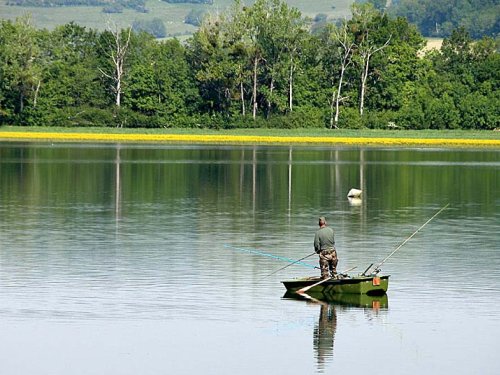 Fishing: sport and leisure