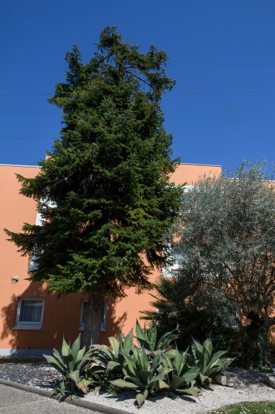 hotel seminaire grenoble 17