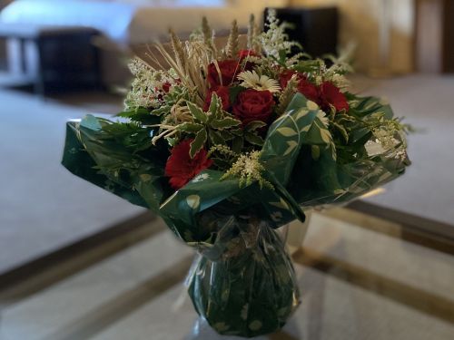 Celebrate life in Saint Emilion 