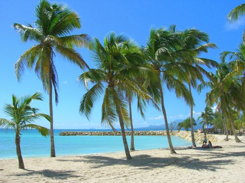 Les plages autour de Sainte-Anne