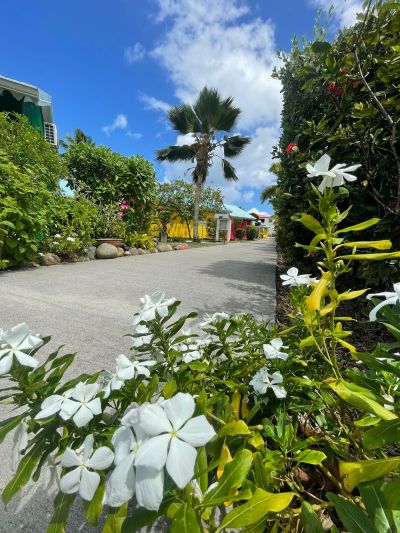 hotel sainte anne guadeloupe 23