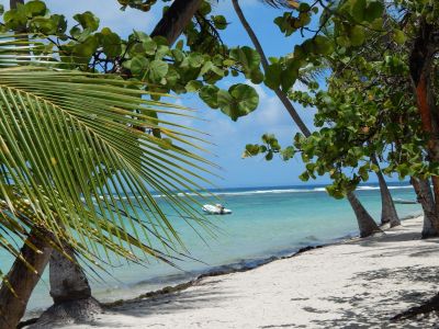 hotel sainte anne guadeloupe 7