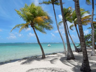 hotel sainte anne guadeloupe 8