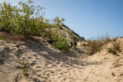 2020 09 Hotel Les Sables dOr Dune 1