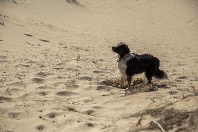 2020 09 Hotel Les Sables dOr Dune 17