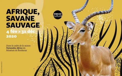 Exposition "Afrique, Savane Sauvage"