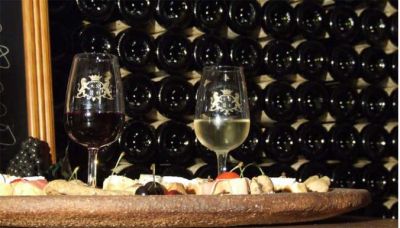 Dégustations en Bourgogne