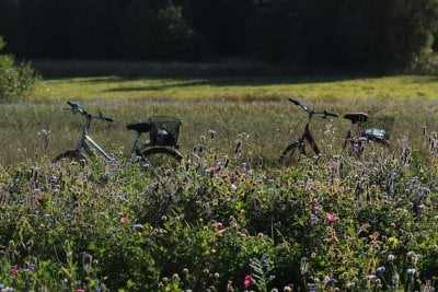 Garage à vélos