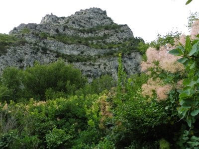 Saoû et sa forêt 