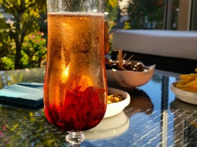 bar et terrasse hotel Teranga Andernos 6