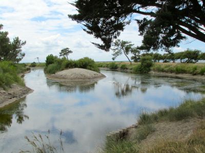 hotel andernos les bains   bassin Arcachon 10