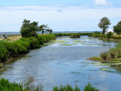 hotel andernos les bains   bassin Arcachon 11 1