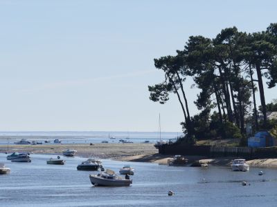 hotel andernos les bains   bassin Arcachon 14 1