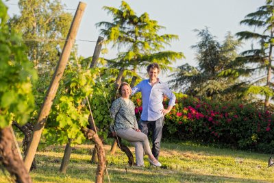 Les vignes du Chateau Turcaud