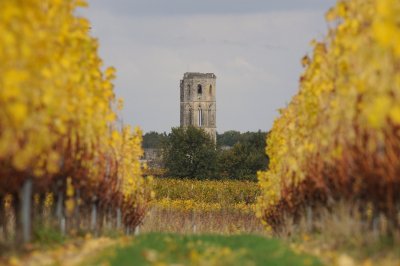 chateau turcaud vin entre deux mers 15