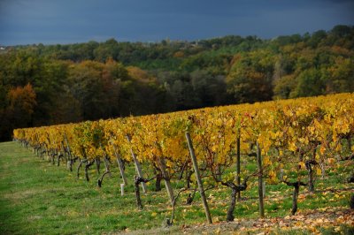 chateau turcaud vin entre deux mers 18