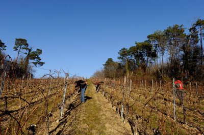 chateau turcaud vin entre deux mers 78