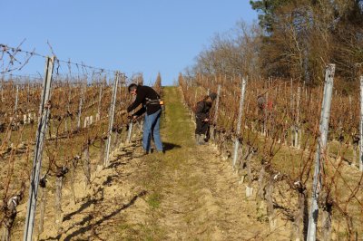 chateau turcaud vin entre deux mers 82