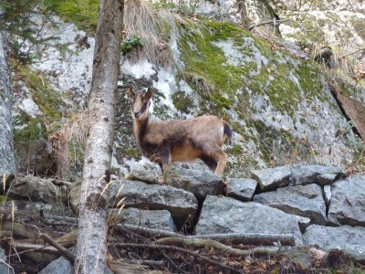 120533cauterets peguere1