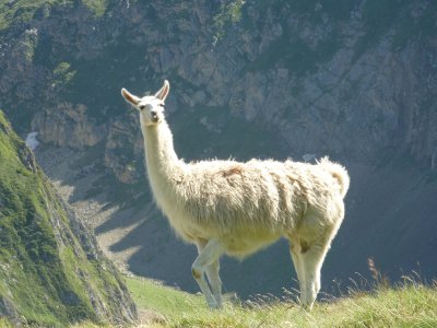 122418tourmalet3 1