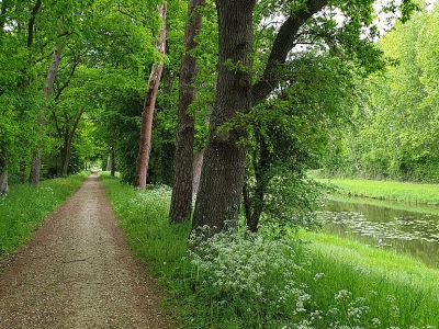 Loire à Vélo  "EuroVélo 6"