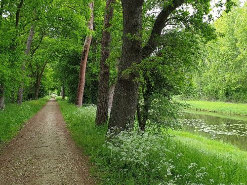 Loire à Vélo  "EuroVélo 6"