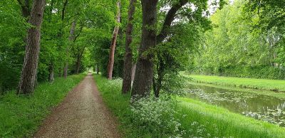 Loire à Vélo  "EuroVélo 6"