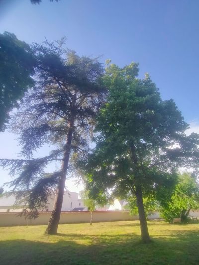 Parc et Jardin