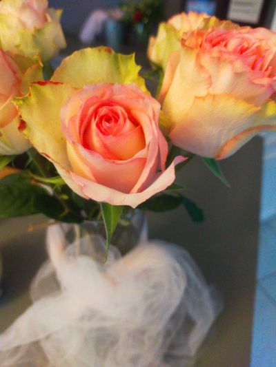 hotel restaurant clery st andre 44