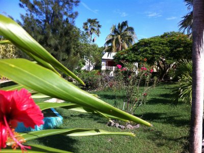 hotel marie galante le village menard location villas gite de vacances 49