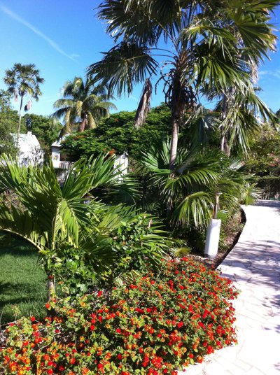 hotel marie galante le village menard location villas gite de vacances 50